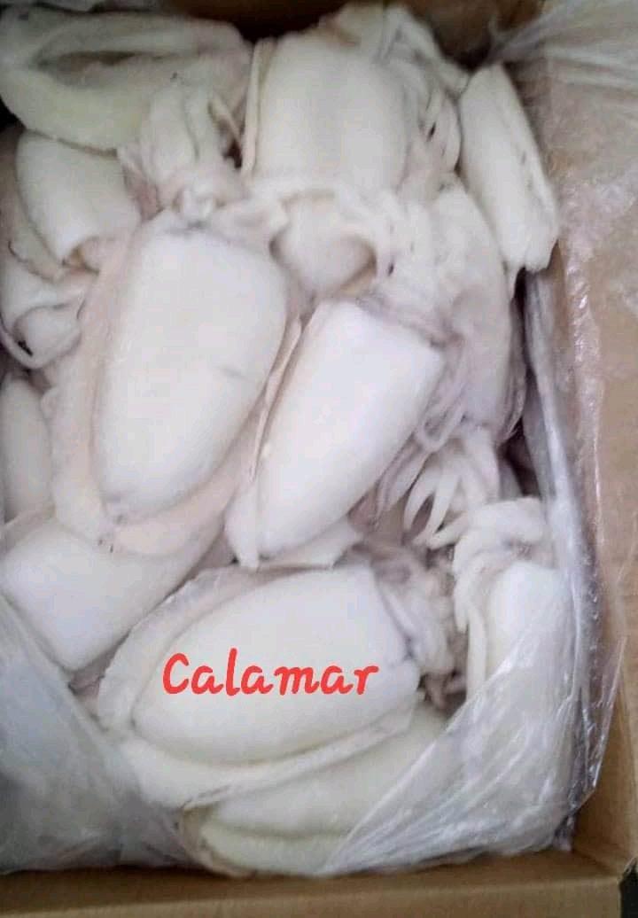 Calamar fruit de mer 1kg — photo 1