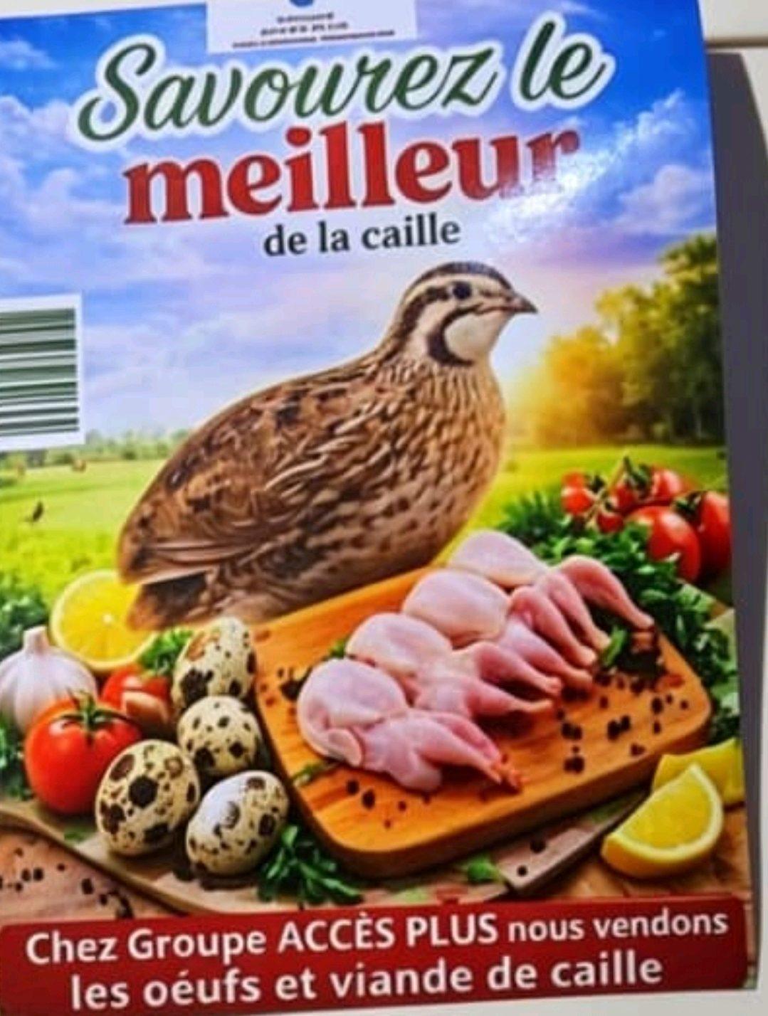 Viande de Cailles — photo 1